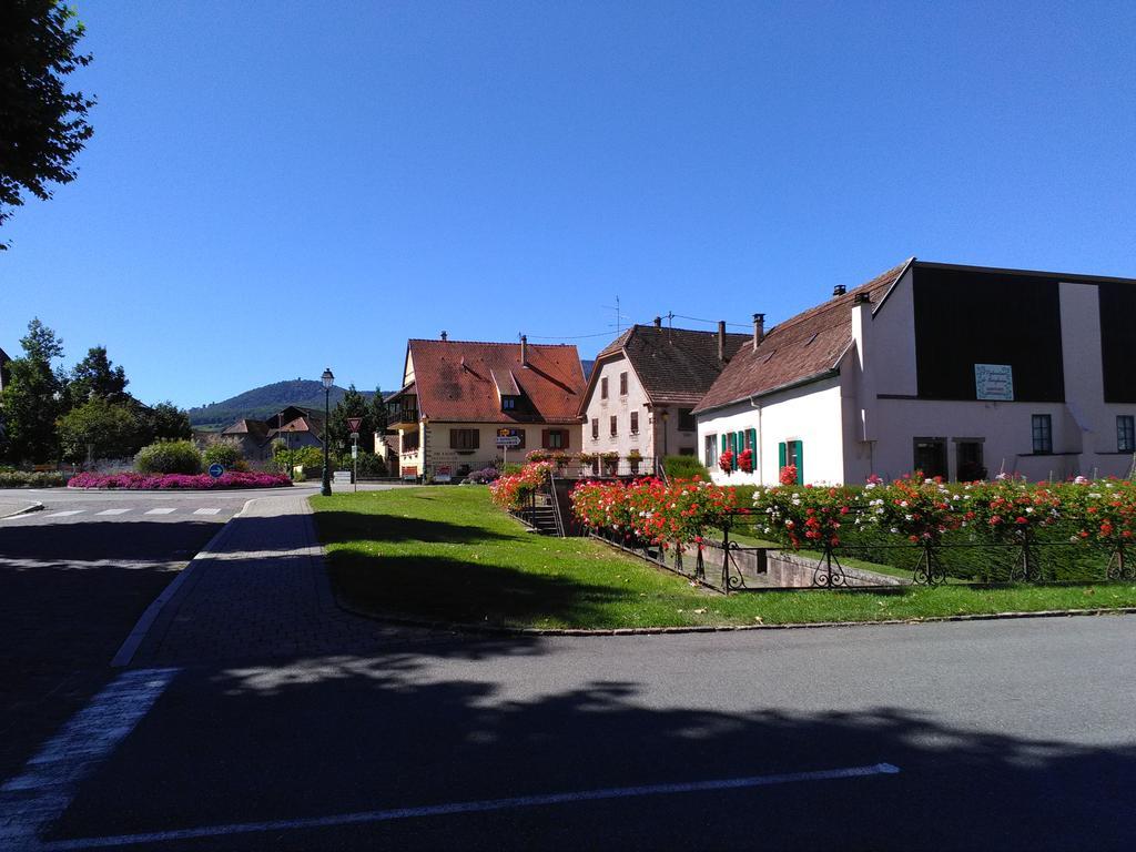 Gites & Camping On The Route Des Vins Bergheim Exterior photo